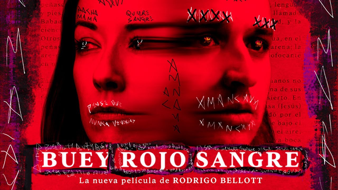 buey rojo sangre trailer